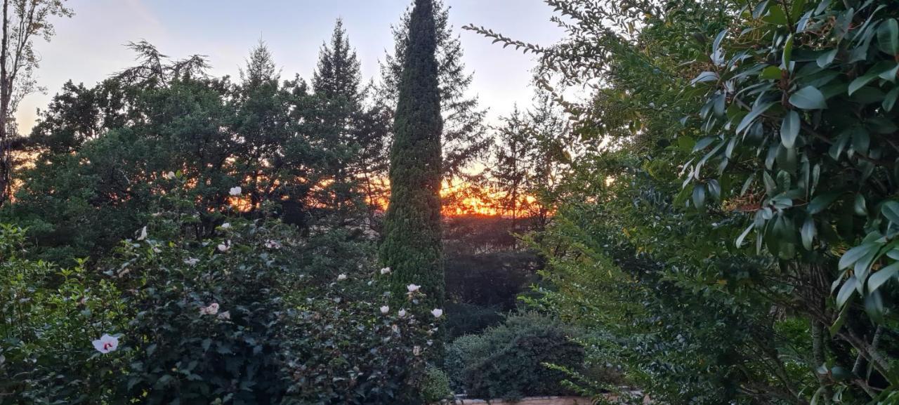 Вилла L'Ecrin De Sarlat Экстерьер фото